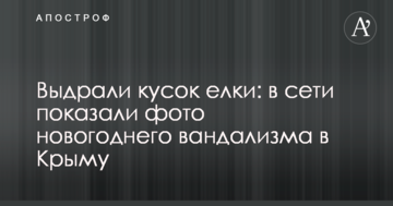 Выдрали кусок елки: в сети показали фото новогоднего вандализма в Крыму