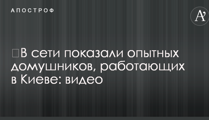 У мережі показали досвідчених домушників, які працюють в Києві: відео