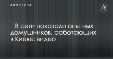 У мережі показали досвідчених домушників, які працюють в Києві: відео