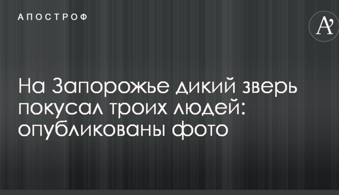 На Запорожье дикий зверь покусал троих людей: опубликованы фото