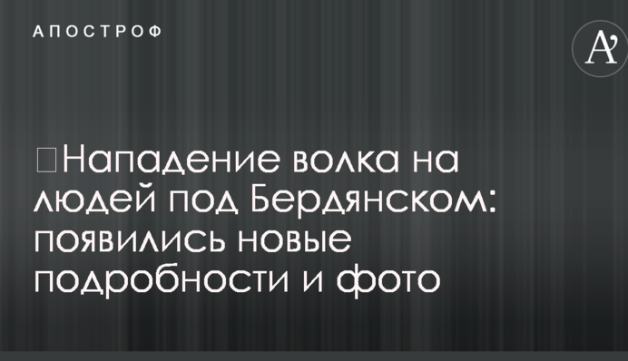 ​Нападение волка на людей под Бердянском: появились новые подробности и фото