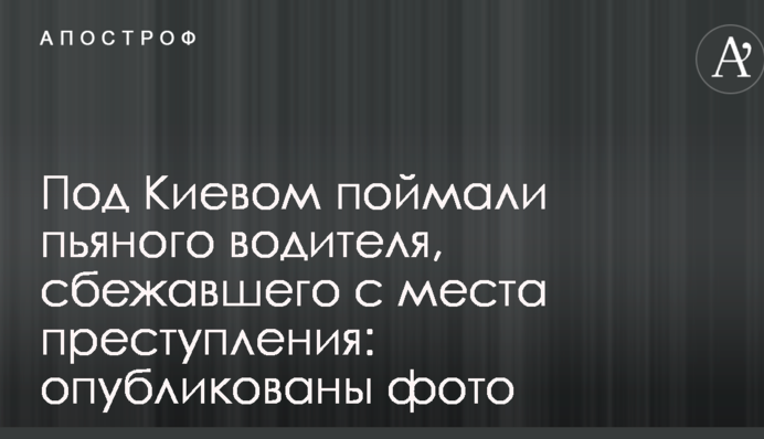 Під Києвом зловили п'яного водія, що втік з місця злочину: опубліковані фото
