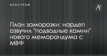 План заморозки: нардеп озвучив "підводні камені" нового меморандуму з МВФ