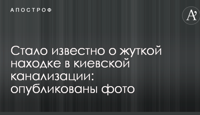 Стало відомо про жахливу знахідку в київській каналізації: опубліковані фото