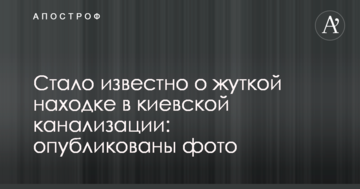 Стало відомо про жахливу знахідку в київській каналізації: опубліковані фото
