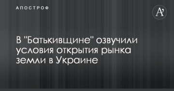 В "Батькивщине" озвучили условия открытия рынка земли в Украине