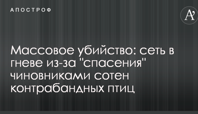 Масове вбивство: мережа в гніві через 