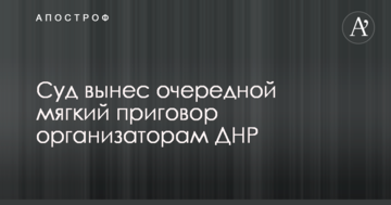 Суд вынес очередной мягкий приговор организаторам ДНР