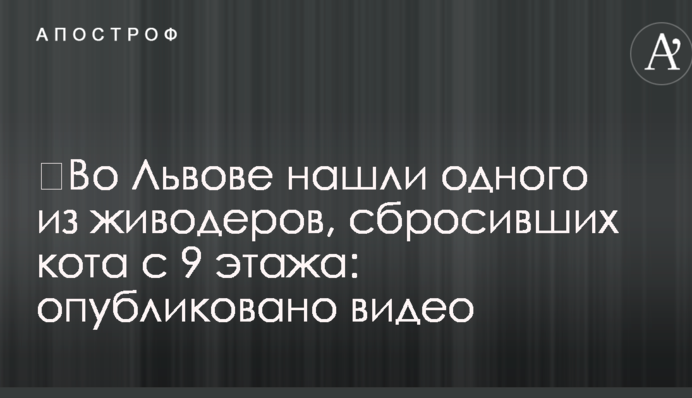 ​У Львові знайшли одного з шкуродерів, що скинули кота з 9 поверху: опубліковано відео
