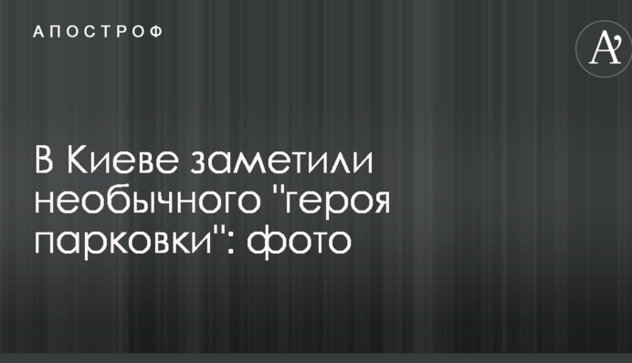 У Києві помітили незвичайного 