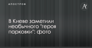 У Києві помітили незвичайного "героя парковки": фото