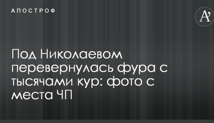 Під Миколаєвом перекинулася фура з тисячами курей: фото з місця НП