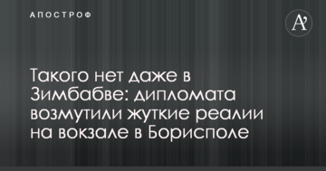 Такого немає навіть в Зімбабве: дипломата обурили моторошні реалії на вокзалі у Борисполі