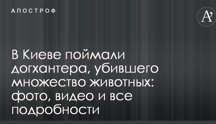В Киеве поймали догхантера, убившего множество животных: фото, видео и все подробности