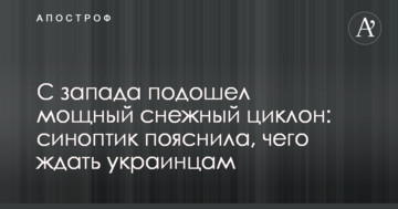 Президентская гонка в Украине: эксперт оценил перспективы союза Гриценко, Таруты и Бессмертного