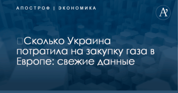 ​Сколько Украина потратила на закупку газа в Европе: свежие данные