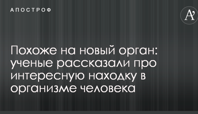 Похоже на новый орган: ученые рассказали про интересную находку в организме человека