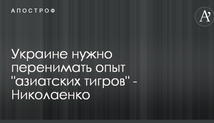 Украине нужно перенимать опыт 