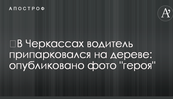 ​В Черкассах водитель припарковался на дереве: опубликовано фото 