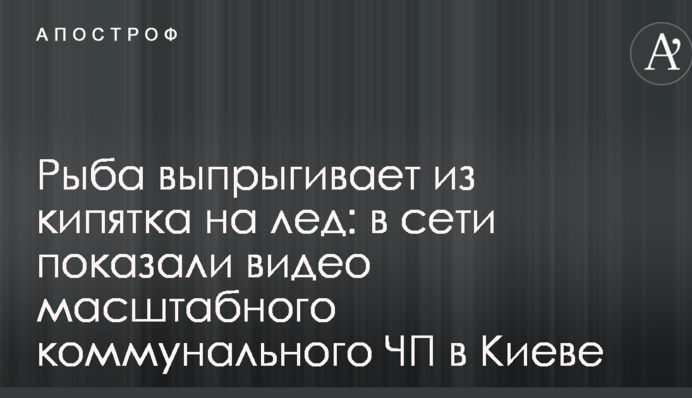 Риба вистрибує з окропу на лід: в мережі показали відео масштабної комунальної НП в Києві