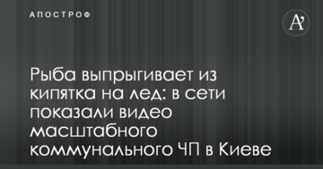 Риба вистрибує з окропу на лід: в мережі показали відео масштабної комунальної НП в Києві