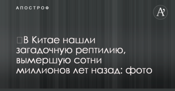 ​В Китае нашли загадочную рептилию, вымершую сотни миллионов лет назад: фото