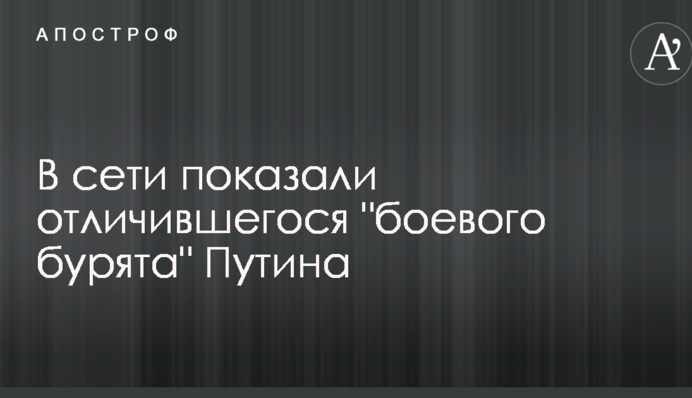 В сети показали отличившегося 