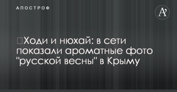 ​Ходи і нюхай: в мережі показали ароматні фото "російської весни" в Криму