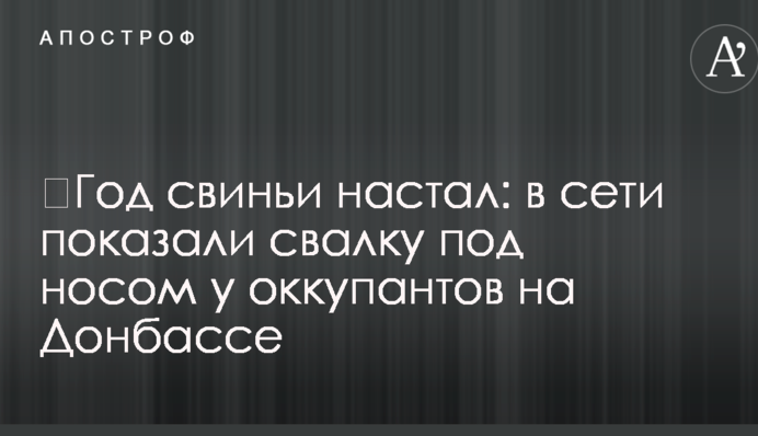 ​Рік свині настав: в мережі показали смітник під носом у окупантів на Донбасі