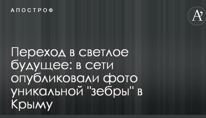 Перехід в світле майбутнє: в мережі опублікували фото унікальної 