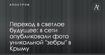 Переход в светлое будущее: в сети опубликовали фото уникальной "зебры" в Крыму