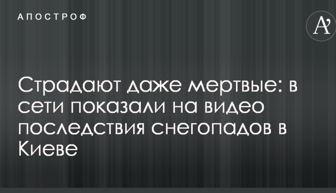 Страдают даже мертвые: в сети показали на видео последствия снегопадов в Киеве