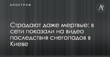 Страждають навіть мертві: в мережі показали на відео наслідки снігопадів в Києві