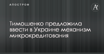 Тимошенко запропонувала ввести в Україні механізм мікрокредитування