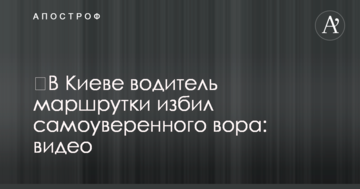 ​У Києві водій маршрутки побив самовпевненого злодія: відео