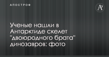 Вчені знайшли в Антарктиді скелет "двоюрідного брата" динозаврів: фото