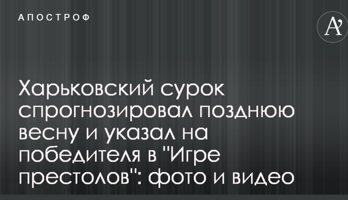 Харьковский сурок спрогнозировал позднюю весну и указал на победителя в "Игре престолов": фото и видео