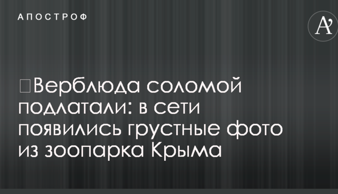 ​Верблюда соломою підлатали: в мережі з'явилися сумні фото із зоопарку Криму