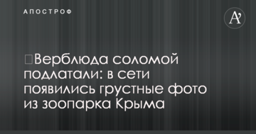 ​Верблюда соломой подлатали: в сети появились грустные фото из зоопарка Крыма