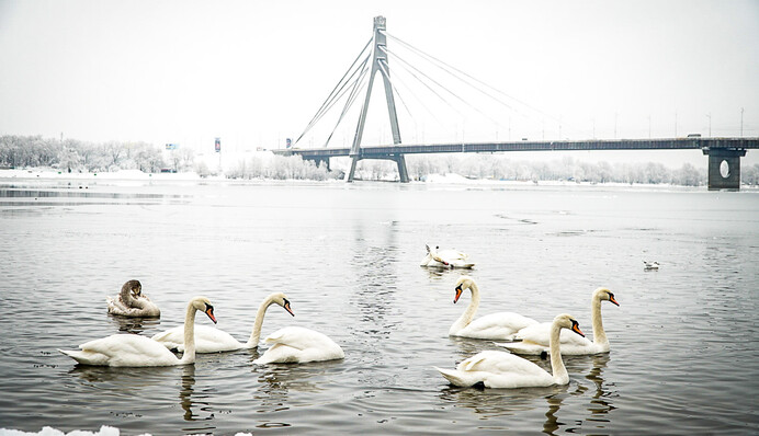 В Киев вернулась сказочная зима: яркие эксклюзивные фото