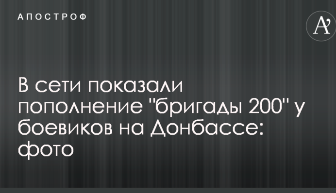 В сети показали пополнение 
