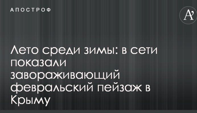 ​Літо серед зими: в мережі показали лютневий пейзаж в Криму, який зачаровує