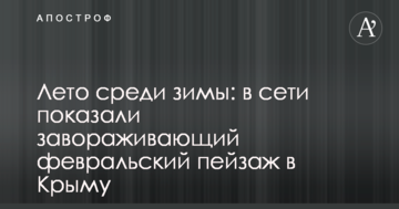 Лето среди зимы: в сети показали завораживающий февральский пейзаж в Крыму