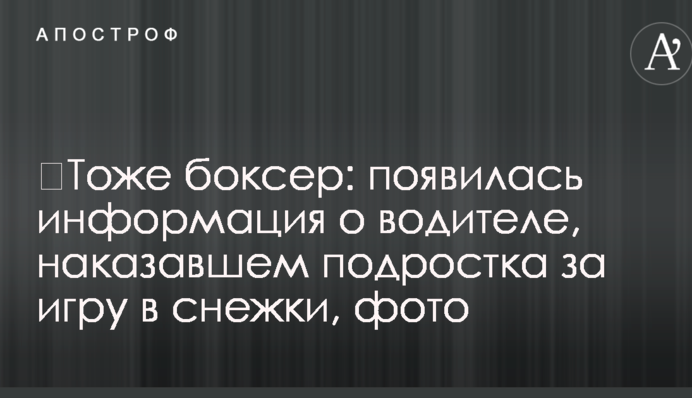 ​Тоже боксер: появилась информация о водителе, наказавшем подростка за игру в снежки, фото