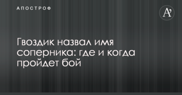 Гвоздик назвал имя соперника: где и когда пройдет бой