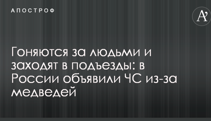 Ганяються за людьми і заходять в під'їзди: в Росії оголосили НС через ведмедів