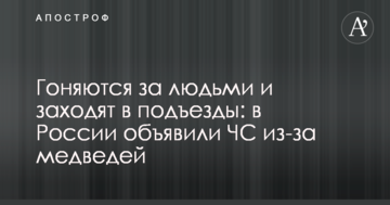 Ганяються за людьми і заходять в під'їзди: в Росії оголосили НС через ведмедів