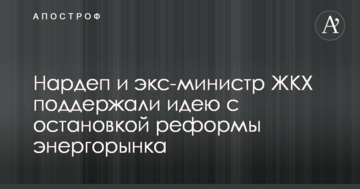 Нардеп и экс-министр ЖКХ поддержали идею с остановкой реформы энергорынка