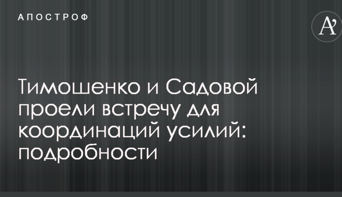 Тимошенко і Садовий провели зустріч для координації зусиль: подробиці