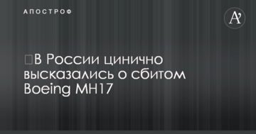 ​В России цинично высказались о сбитом Boeing MH17
